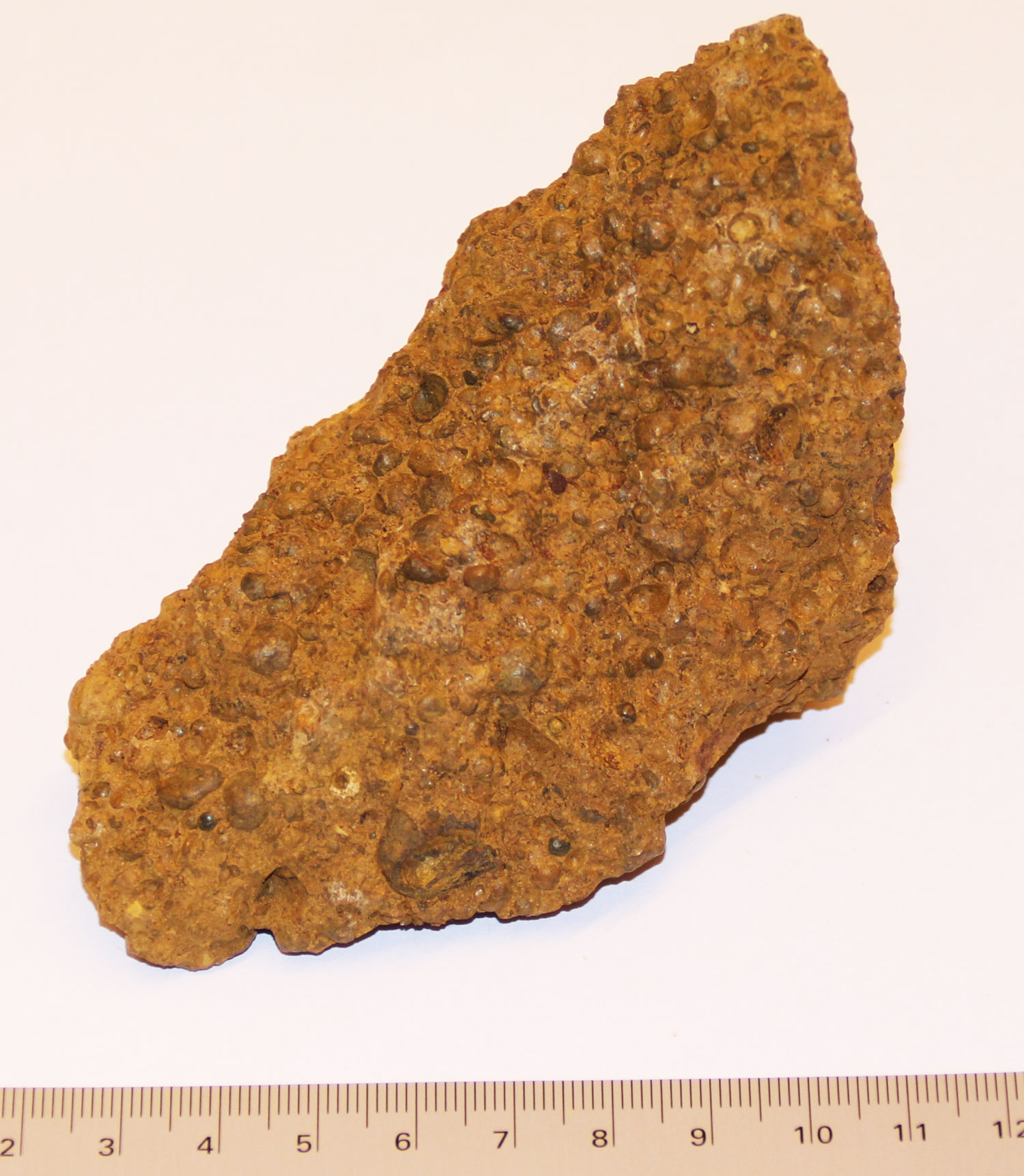 Portrait Michael Ritter